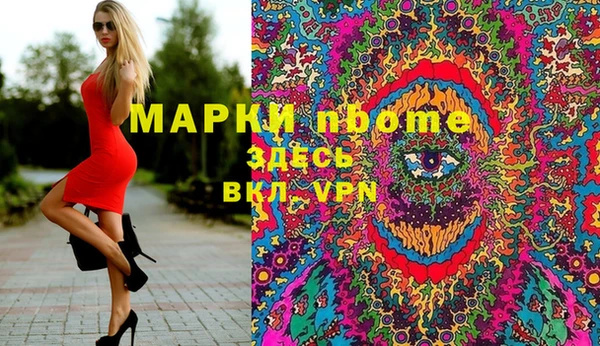 шишки Алексин