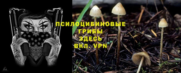 прущая мука Абинск