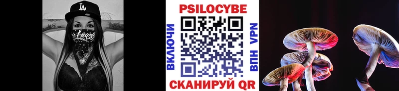 Псилоцибиновые грибы прущие грибы  наркота  Заозёрный 